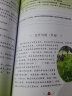 快乐读书吧阅读训练四年级下册（同步考点 名著培优）4年级小学语文思维导图名著课外阅读理解考点训练 实拍图