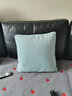 米乐轻奢刺绣抱枕沙发靠垫客厅靠枕套纯色天鹅绒办公室汽车腰枕 浅蓝色（方框刺绣） 45*45cm抱枕套+枕芯 实拍图