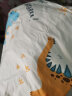博洋家纺 儿童全棉被套 纯棉学生宿舍印花单件套 单人床被罩 单件 恐龙假日（被套） 120*150cm 晒单实拍图