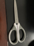 得力(deli)170mm中号不锈钢办公剪刀 桌面手工剪子 颜色随机 实拍图