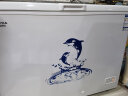 澳柯玛（AUCMA）323升低霜冰柜家用商用单温顶开门冷藏柜冷冻柜母乳小冰柜商用小型冰箱冷柜BC/BD-323NE以旧换新 实拍图