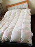 富安娜95%白鹅绒羽绒被子保暖冬被芯单人加厚被1米2床 (152*210cm) 实拍图