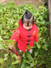 迪莎童话儿童汉服唐装年服男女宝宝过年拜年服小中大童中国风夹棉加厚外套 红色 150 实拍图