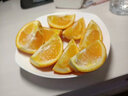 舅甜果蔬进口新鲜3107新奇士橙子（现货秒发）应当季水果 进口甜橙sunkist 新鲜进口一级果【精品蓝标】 8个（单果160-210克左右） 实拍图