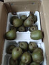 绿美鲜城四川蒲江红心猕猴桃奇异果弥甜当季时令水果孕妇新鲜生鲜整箱礼盒 24枚甄选装单果90-110g 实拍图