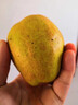 锁季新疆库尔勒香梨现摘新鲜水果脆甜香妃全母梨孕妇水果春节礼盒送礼 净重8斤甄选中果 单果100-120g 实拍图