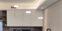 Paulmann P德国柏曼吊灯餐厅灯欧式现代简约创意餐桌灯 【餐厅】3000K色温版 晒单实拍图
