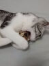 petofstory 猫玩具7只小老鼠 宠物猫咪用品玩具老鼠 实拍图