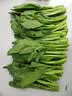 東昇供港菜心300g菜薹新鲜时蔬食品嫩甜现摘火锅白灼 供港蔬菜 实拍图