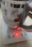 麦卓（MAKE JOY）养生壶 1.8L煮茶器花茶壶 电水壶烧水壶电热水壶开水壶 保温煮茶壶玻璃电茶壶办公室养生壶 升级-温控款 实拍图