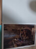 史蒂夫 麦凯瑞：印度 玛格南大师摄影集收藏画册  后浪 实拍图