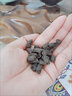吉顺号（JISHUNHAO）十年糯米香普洱熟茶碎银子茶化石老茶头散茶带茶具500克*4罐 【实发4罐】4斤铁盒包装【送茶架1套】 实拍图