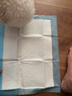 宠百思（PETBEST）宠物狗狗加厚尿垫尿片狗尿布尿不湿隔尿垫吸水吸尿纸护理垫 M号：45*60cm(加厚款40片) 实拍图