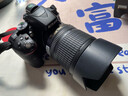 尼康/Nikon D5200 D5300 D5500 D5600 二手单反相机学生新手入门级数码相机 D5300（18-105mmVR)套机） 准新 实拍图