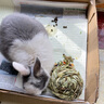 草先生（MR.HAY）磨牙用品兔子天竺鼠荷兰猪龙猫磨牙食品磨牙苜蓿草饼草球草砖草块 普编提摩西草球8CM 实拍图