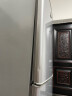 樱花（SAKURA） 冰箱小型迷你小双开门冰箱家用冷藏微冷冻宿舍家用 BCD-118S银色双门(一级能效) 实拍图