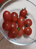 千朵云电白千禧圣女果小番茄正宗玲珑番茄甜千玺圣女果新鲜轻食水果 精选圣女果 带箱6斤 实拍图