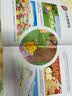 3-4岁全脑开发训练书1(套装3册)贴纸游戏书互动游戏书手脑协调 实拍图