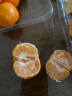 广西荔浦沙糖桔 砂糖橘 甜橘子2.5kg礼筐 礼盒装 新鲜水果 实拍图