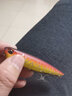 钓之屋DW59/85mm/10.5g浮水铅笔路亚远投鱼饵硬饵假饵狗鱼黑鱼鳡鱼鲈鱼 DW59-B 亚光黄红 实拍图