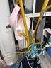 格田彩金属衣帽架落地式挂衣架门厅立式房间置物架卧室简约创意挂包架子 金色【鹿角款】 实拍图