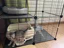 蔻丝猫笼子家用室内幼猫别墅省空间小型自由拼接小猫笼 小号-74*37*37-幼猫推荐 基础款：可DIY裸笼 实拍图