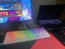 首席玩家GA87机械键盘87键Gasket结构RGB背光电竞游戏办公键盘 白色 混光版 红轴  ABS键帽 晒单实拍图