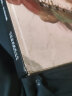 米开朗基罗“雕塑·绘画·建筑”作品全集 晒单实拍图
