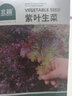 北蔬 紫生菜种子种苗红叶生菜速生耐热四季菜种籽 紫叶生菜种子2000粒 实拍图