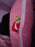 维尔美（Weiermei） 学生枕头套装枕头芯加枕头套可拆洗小号枕头可爱卡通高回弹性枕头 草莓【拉链式】 枕芯+枕套【一个装】 实拍图