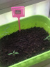 漫生活 家庭种植盆9件套(带种子) DIY儿童趣味种植套装营养土花土肥料花盆种菜种花水壶铲子幼儿园亲子活动 实拍图