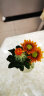 朴记 创意陶瓷花瓶北欧简约客厅茶几电视柜插花餐桌面水培干花装饰摆件 白色单陶瓷 实拍图