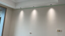 三棵树漆（SKSHU） 【绿色家居】内墙补墙漆新旧房自刷家用涂料 趣森活美妆漆小罐漆 1L P92102-3银月光（） 实拍图