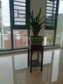 瑞呈堂 花架实木 阳台客厅简约中式老榆木花架多层室内绿萝吊兰多肉花架 木红色30x60cm 实拍图
