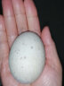 荆八宝 无铅皮蛋松花蛋 生鲜 湖北松花皮蛋溏心蛋 散养麻鸭蛋大皮蛋变蛋 8枚 实拍图