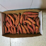 福建六鳌红薯  地瓜  净重1.5kg 单果重量50g-150g  新鲜蔬菜健康轻食 实拍图