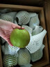 翠康小蝴蝶（CUIKANGXIAOHUDIE）快乐农场焦溪翠冠梨梨子精品礼盒新鲜水果当季水果现摘现发 礼盒装12只大果 实拍图