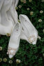ROSE CASTLE 婚鞋女 白色高跟鞋女细跟2021新款水钻方扣单鞋婚纱礼服鞋伴娘鞋 白色(8cm）R6526礼盒版 34 晒单实拍图