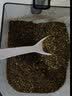 新厨夫【八叶刀头 更强劲】磨粉机家用研磨机多功能料理机小型打粉机超细粉碎机中药干粉五谷杂粮粉碎机 【红色】8叶刀头+1把刀片+刷子+勺子 实拍图