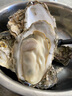 海味先生 生蚝鲜活 海蛎子 2.5kg 袋装 【大生蚝】5斤（16-20只） 实拍图