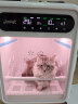 JirpetJirpetF1宠物烘干箱全自动烘干机猫咪吹风神器狗狗洗澡家用烘干箱 F1 晒单实拍图