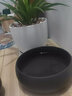 源老舍无孔水培花盆铜钱草花盆陶瓷水仙花睡莲碗莲荷花水培容器一叶莲盆 紫砂黑小号 实拍图