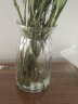盛世泰堡 北欧玻璃花瓶插花瓶干花满天星仿真花水培植物容器小花瓶客厅装饰摆件 透明色18cm 实拍图