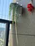 恰好时光 吊篮壁挂花盆2个装懒人自吸水水培壁挂花盆 带定植篮棉绳挂钩 实拍图