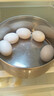 我老家鸽子蛋 新鲜 现捡散养谷物蛋 孕妇宝宝营养生鲜 鲜鸽蛋20枚装 实拍图