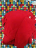浪莎本命年大红秋衣秋裤内衣套装男女薄款保暖内衣 男款纯色大红 3XL (180) 实拍图