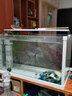 佳璐（jialu）超白水草鱼缸免换水族箱懒人生态鱼缸小型水族箱 60cm长 水草超白缸（含底沙） 实拍图