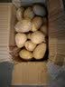 采鲜惠 湖北小土豆 恩施新鲜马尔科迷你小土豆黄心马铃薯高山洋芋 5斤 鸡蛋鹅蛋大小 实拍图
