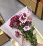 德力西电气 电锤电镐两用 冲击钻 家用大功率混凝土工业级电动工具 全能1050W电锤标准套餐 实拍图