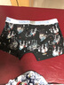 狮奇诺冰丝内裤男夏季无痕男士内裤性感平角裤男生薄款四角短裤青年底裤 黑底象+幻影黑+白花+白蜻蜓 4条 XXL【120-145斤】 实拍图